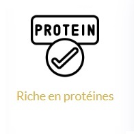 bsissa poudre riche en proteine